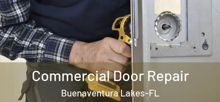 Commercial Door Repair Buenaventura Lakes-FL