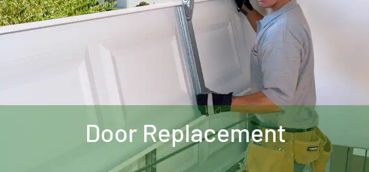  Door Replacement 