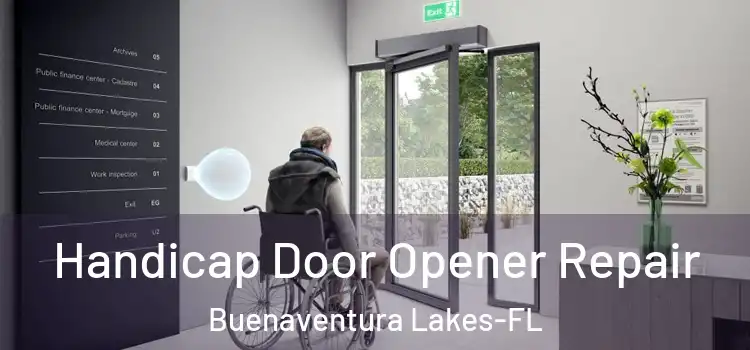 Handicap Door Opener Repair Buenaventura Lakes-FL