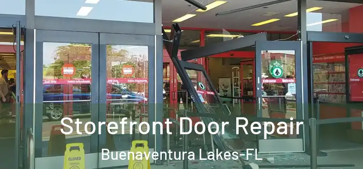 Storefront Door Repair Buenaventura Lakes-FL